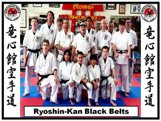 blackbeltsryoshinkan2015poster.jpg