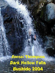 senseidarkhollowfalls2004.jpg