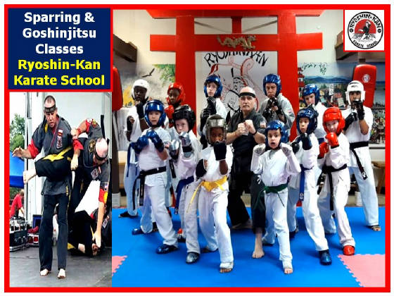 sparringgoshinjitsuclasses22jan2020.jpg